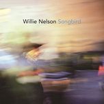 rainy day blues - willie nelson