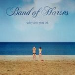 in a drawer - band of horses