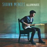ruin - shawn mendes