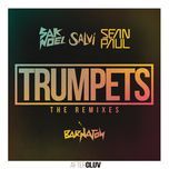 trumpets (shintaro & uki remix) - sak noel, salvi, sean paul