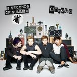 amnesia (live at wembley) - 5 seconds of summer