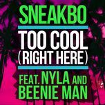 too cool (right here) - sneakbo, nyla, beenie man