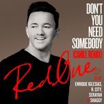 don't you need somebody (cahill remix) - redone, enrique iglesias, r.city, shaggy, serayah