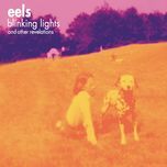 railroad man - eels