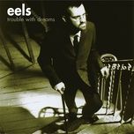 trouble with dreams - eels