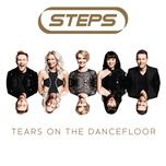 scared of the dark (wideboys in the shadows vocal mix) - steps