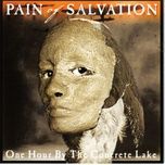 handful of nothing - pain of salvation