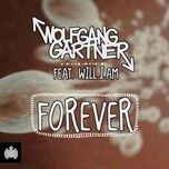 forever (extended) - wolfgang gartner, will.i.am