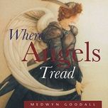 golden wings - medwyn goodall