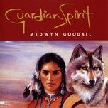 forest spirits - medwyn goodall