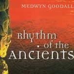 chamber of the gods - medwyn goodall