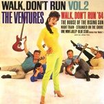 blue star (the theme from medic) - the ventures