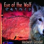 eye of the wolf - medwyn goodall