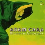 anam cara - medwyn goodall