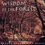 wisdom of the forest part 2 - medwyn goodall