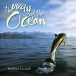 call of the ocean - medwyn goodall