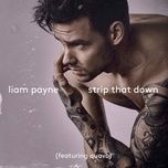 strip that down - liam payne, quavo