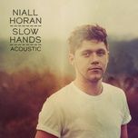 slow hands (acoustic) - niall horan