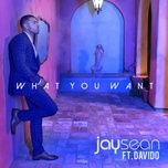 what you want - jay sean, davido