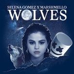 wolves - selena gomez, marshmello