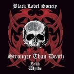 superterrorizer - black label society