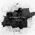 without you (notre dame remix) - avicii, sandro cavazza