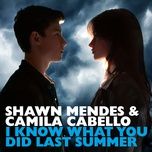 i know what you did last summer - shawn mendes, camila cabello