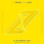 a different way (bro safari & etc!etc! remix) - dj snake, lauv