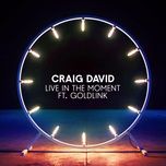 live in the moment - craig david, goldlink