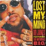 lost my mind - ro james, the notorious b.i.g.