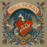 on the loose (basic tape remix) - niall horan