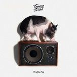 truffle pig - tommy trash