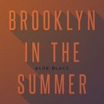 brooklyn in the summer - aloe blacc