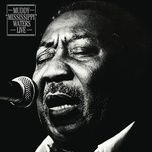 got my mojo working (live) - muddy waters