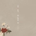 in my blood (acoustic) - shawn mendes