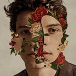 in my blood - shawn mendes