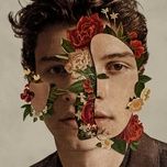 because i had you - shawn mendes