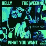 what you want - belly, the weeknd