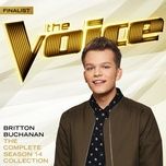 wake me up (the voice performance) - britton buchanan, alicia keys