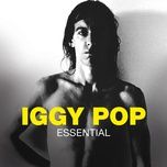 home - iggy pop