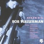 brothers - rob wasserman, bobby mcferrin