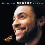 get up stand up - shaggy