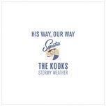 stormy weather (sinatra cover) - the kooks