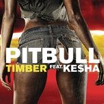 Ca nhạc Timber - Pitbull, Kesha