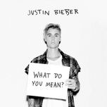 what do you mean? - justin bieber