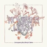 je ne peux plus dire je t'aime - nolwenn leroy