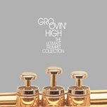 gypsy jingle-jangle - freddie hubbard