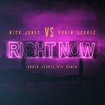 right now (robin schulz vip remix) - nick jonas, robin schulz