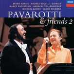 please forgive me - bryan adams, orchestra del teatro comunale di bologna, michael kamen