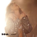 iguana - inna